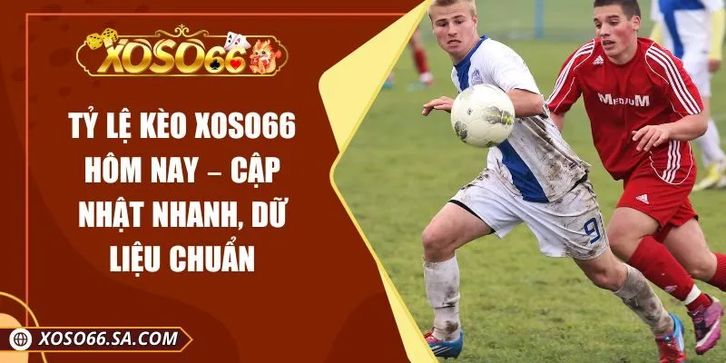 Tỷ Lệ Kèo XOSO66 Hôm Nay – Cập Nhật Nhanh, Dữ Liệu Chuẩn