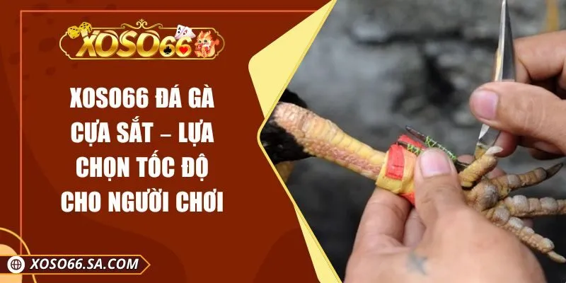 XOSO66 Đá Gà Cựa Sắt – Lựa Chọn Tốc Độ Cho Người Chơi